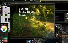 Paint